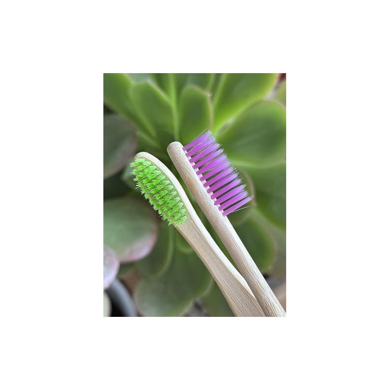 Cepillos de Bambú Ecológicos Georgee Essentials - Paquete 10 Piezas,