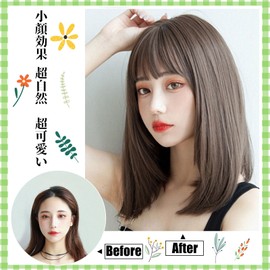 FINGOOO Wig, Medium, Straight Black Hair, Semi-Long, Full Wig, Wig, Wig, Women's Dresses, Lolita, Cosplay, Small Face, Natural, Heat Resistant, Synthetic Hair with Net (Semi Long, Ash Brown)