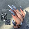 ROZYHIP Siver Collection Metallic Style Gel Nail 10ml, Color:RI03