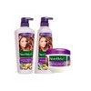 Nutribela 10 Enzimoterapia (3 Pack) Nutribela Shampoo Enzimoterapia 400mL +