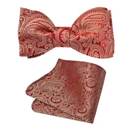 GUSLESON Mens Paisley Self Tie Bow Tie Silk Woven Gold Red Bow tie Pocket Square Set for Wedding (0652-10)