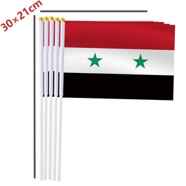 25 Pack Syria Handheld Small Flag,Mini Syrian Hand Held Miniature Stick Decor