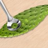 PEUTIER 3pcs Practical Cactus Peeling Tools, Total Length 9.06in Stainless