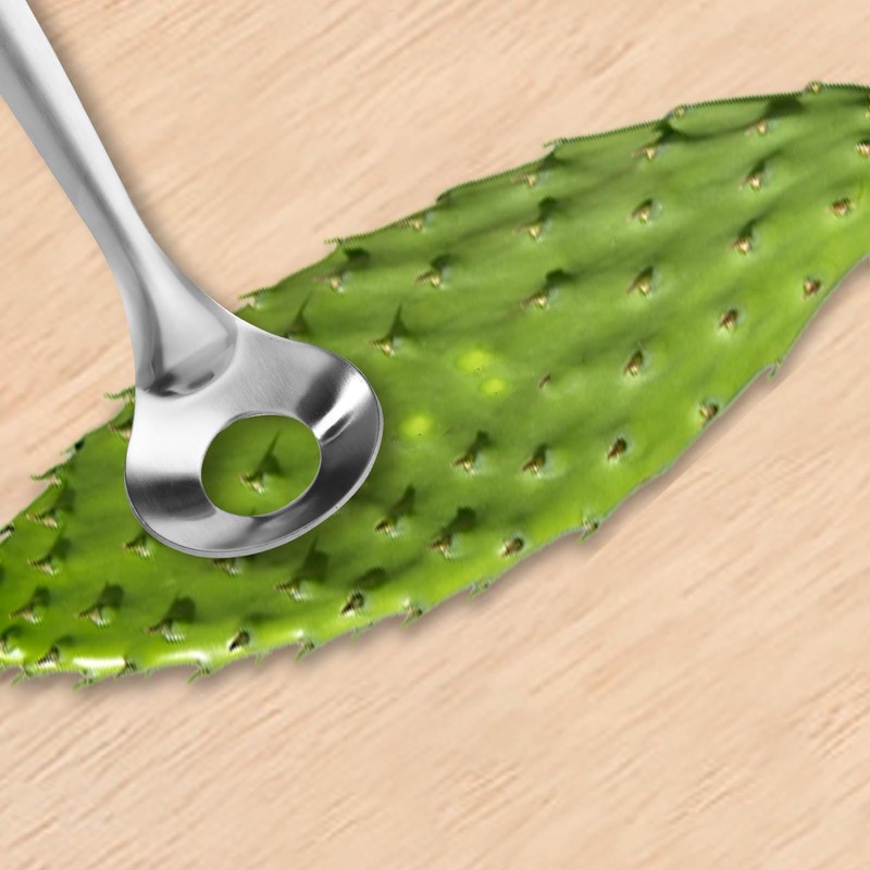 PEUTIER 3pcs Practical Cactus Peeling Tools, Total Length 9.06in Stainless