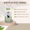 OTACI Herbal Shampoo with Nettle – Vegan Daily Hair Cleanser