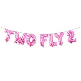 Two Fly 2 Birthday Party Decoration Two fly for little guy Birthday Balloons Time Flies Birthday Decoration Airplane Birthday Party Decoration Airplane Birthday Banner (TWO FLY 2 Pink Heart)
