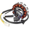 GY6 Stator Ignition Stator Magneto Coil 12 Pole Direct Current