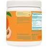 Wellah Pump-It-Up Creatine (50 Servings, Clementine Peach) - Creatine Monohydrate