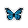 Beautiful Blue Morpho Butterfly Sticker, Decal for car Bumper, Laptop