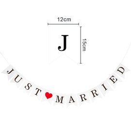 Wedding Garland, Set of 2, Wedding Party Banners, Happy Wedding/Just Married, Wedding, Celebration, Photo Background, Perfect for Front Shoots and Venue Decorations