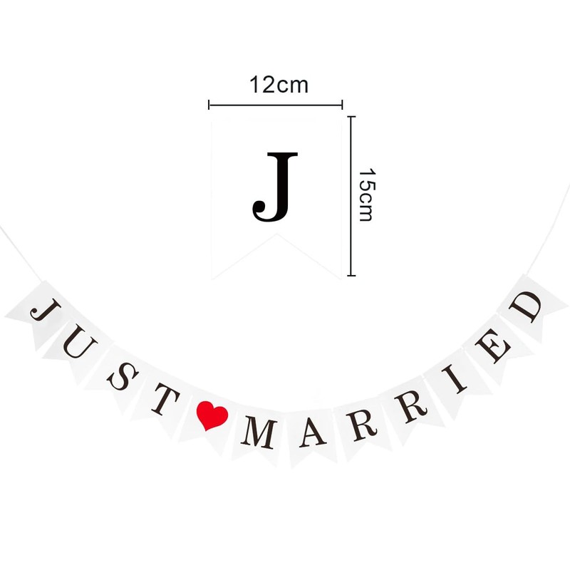Wedding Garland, Set of 2, Wedding Party Banners, Happy Wedding/Just