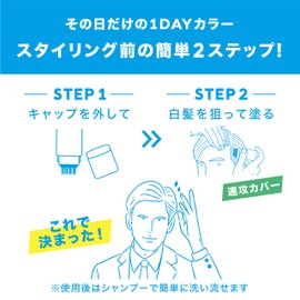 Men's Bigen Quick Stick, Brown, Dye for Gray Hair, Quickly Conceals Gray Hair, 1 Day Color, Hoyu