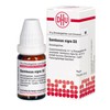 DHU Sambucus nigra D 3 Globuli, 10 g Globuli