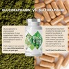Mara Labs Broc Elite Plus | Broccoli Supplement w/Stabilized Sulforaphane