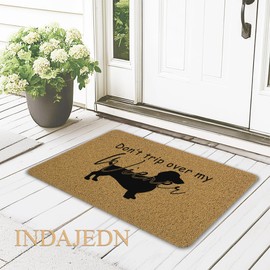 INDAJEDN Funny Dachshund Door Mat, Weiner Dog Doormat, Don't Trip Over My Wiener Welcome Mats for Front Door Porch Outside Inside Outdoor Indoor Entrance, 17x29 Inch