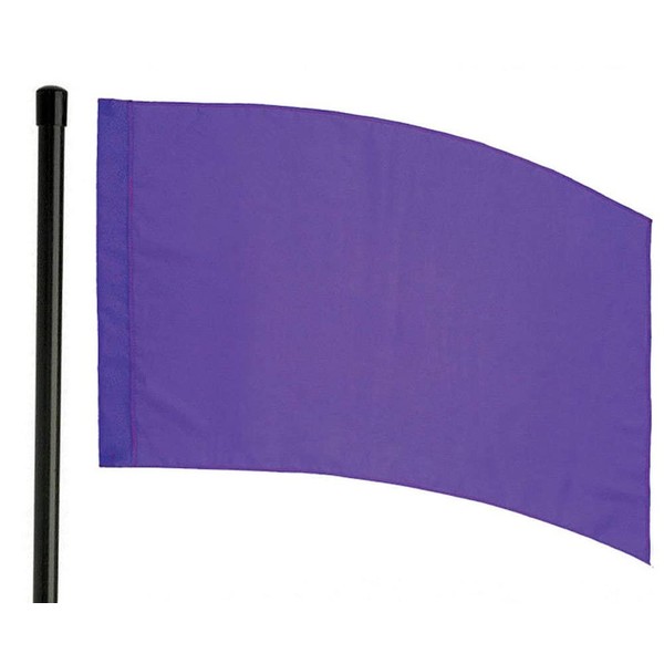 Director's Showcase DSI 6 Foot Black Flag Pole and Color Guard Flag Bundle (Purple)