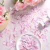 BOXOB 240pcs Pink Bow Confetti, Coquette Pink Bow Birthday Decorations