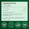 Alevia Cápsulas Orgánicas Amla De 1000 Mg Grosella Espinosa