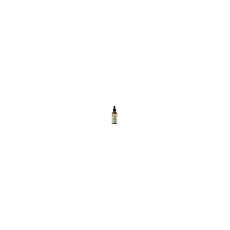 Mielle Organics Aceite Fortalecedor Del Cuero Cabelludo 59ml