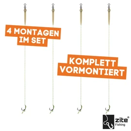 Zite Fishing Carp Rigs Set | Carp Leader Hook Size 2-8 | 4 Packs | Hair Assembly for Boilies Carp Fishing | Tied Braided Line | Ready2Fish Hair Rigs with Carp Hooks & Swivels (8)