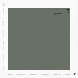 BACKDROP | Premium Interior Paint | Large Adhesive Paint Swatch | WEEKEND UPSTATE - Dark Green With A Hint Of Blue | 12" x 12" Color Sample