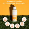 Manna Vitamins Evolved Liposomal Liquid Curcumin for Advanced Absorption Best