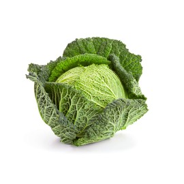Savoy Cabbage Seeds, 500 Heirloom Seeds Per Packet, Non GMO Seeds