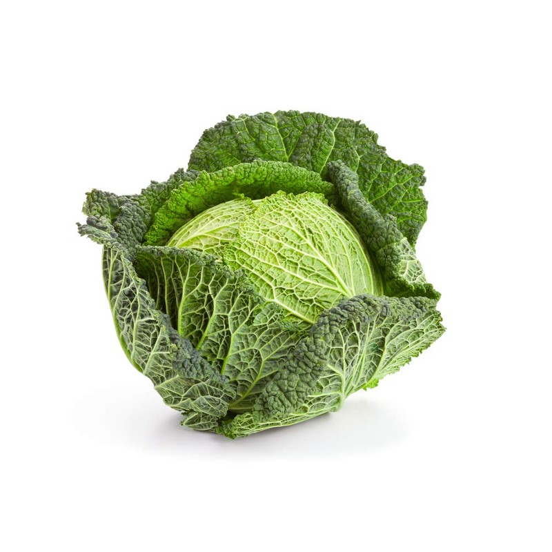Savoy Cabbage Seeds, 500 Heirloom Seeds Per Packet, Non GMO