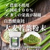 Shizen Health Co. Young Barley Powder, 30 Bottles, Green Juice,