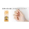 Four Seasons Colored Nail Tsukio Flower