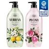 Aekyung [애경] 샤워메이트 플라워부케 바디워시 900ml x2개 [레몬버베나] [Aekyung] Shower Mate Flower Bouquet Body Wash 900ml x2 [Lemon Verbena]