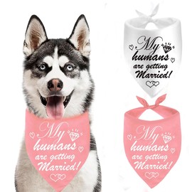 Engagement Gift, My Humans are Getting Married Dog Bandana, Wedding Engagement Photos, Bride to Be, Bridal Shower Gift, Pet Scarf Engagement Announcement, Pet Accessories (2 Pack)