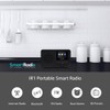 LEMEGA IR1 Portable WiFi Internet Radio,FM Digital Radio,Bluetooth Speaker,Dual Alarms