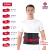 TOROS-GROUP Elastic 24 cm Abdominal Binder/Postpartum & Post Operative Belly