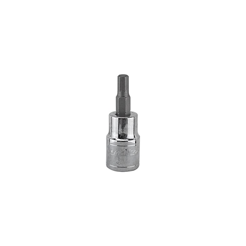 Park Tool 5mm Hex Bit (26.5mm L) Tool