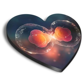 1 x Heart MDF Magnets - Cell Division Biology Science 44548