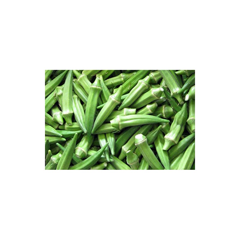 Okra Seeds- Clemson Spineless- 100+ Seeds