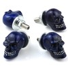 Bashineng Skull License Plate Screw 4 Pack Universal Cars Truck