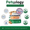 Petsology Advanced Hip & Joint Supplement for Dogs – Glucosamine,