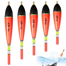 Colorich 5 Piece Luminous Floats Fishing, 5g/8g/10g/12g/15g Float Set, Float Fishing, Fishing Accessories Set, Glow Sticks Fishing for Pike, Perch, Carp, Perch Floats Fishing