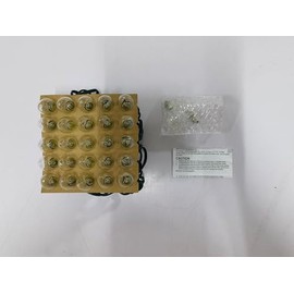 Egcol C7 Clear Christmas Lights 25 Feet Christmas String Lights Outdoor with 27 Bulb for Garden, Patio, Backyard, Cafe, Xmas Party, Green White