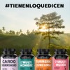 Beyond Vitamins | Cardo Mariano (extracto de Silimarina 100% natural