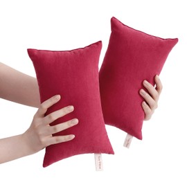 BEDSUM 2 Pack Tiny Pillows, 11"x7" Microfiber Mini Pillows for Travel, Dogs, Cats, Soft and Machine Washable Small Pillows for Neck, Wrist, and Knee Comfort, Red