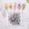 Dried Flowers for Nails, 3D Nail Dried Flower Sticker 1