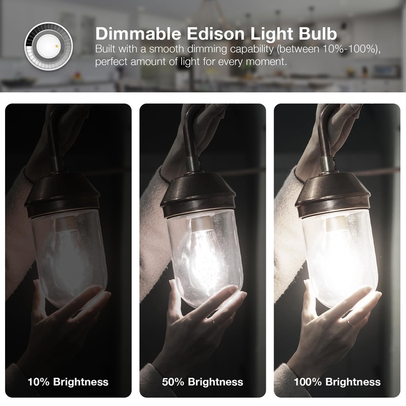 DAYBETTER 4 Pack Vintage LED Edison Bulbs, E26 Led Bulb