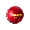 DSC Grade Leather Cricket Ball (Red, Club)| Water Proofed Leather