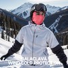 QINGLONGLIN Balaclava Ski Mask Warm Full Face Cover Winter Full
