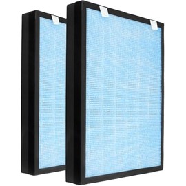 2 Pack Replacement Filter HSP002 For Hathaspace HSP002 Smart True HEPA Air Purifier