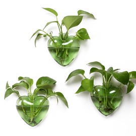 Wall Hanging Planter Propagation Station for Indoor Plants Glass Vase Air Plant Holder for Bathroom Living Room