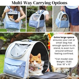 Spacious Cat Backpack Carrier, Portable Cat Carrier, Large Space for Pet, Backpack for Kitty Cat & Small Dogs up to 15lbs, Lightweight & Foldable Pet Carrier for Travel & Hiking (Ice Blue)